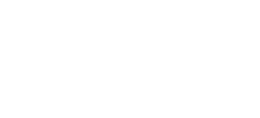 CLEW LLC